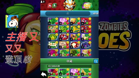 麦丝游戏,麦丝游戏——创新与娱乐的完美结合