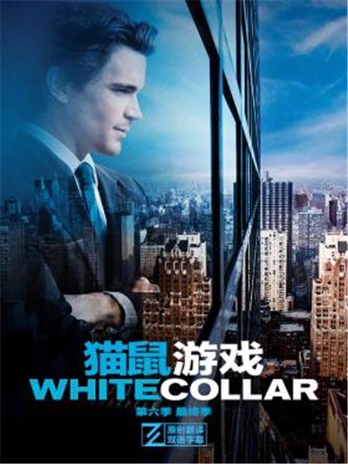 猫鼠游戏第六季大结局,悬疑与情感的完美交织