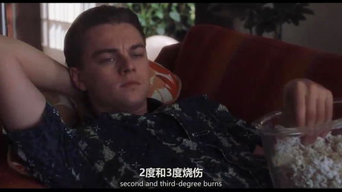 猫鼠游戏小李子,小李子的传奇诈骗人生