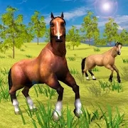 野马骑马 野马骑马