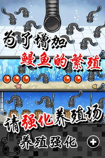 鳗鱼游戏,揭秘深海中的神秘生存法则