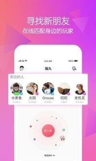 猫丸小游戏,解锁奇幻小游戏的欢乐篇章