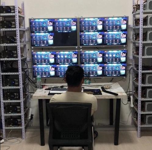 z区游戏工作室,打造沉浸式游戏体验的幕后力量