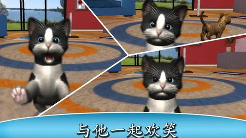 游戏一只猫,小橘猫的赛博冒险之旅