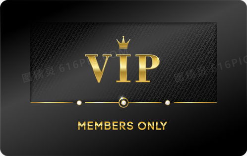 vip会员 vip会员