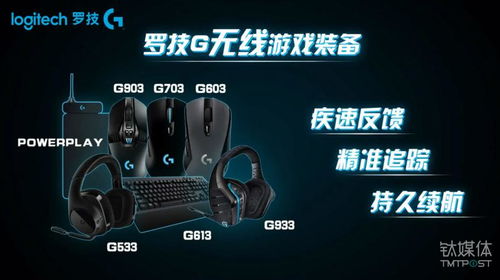 罗技游戏官网,探索专业游戏装备的极致体验之旅