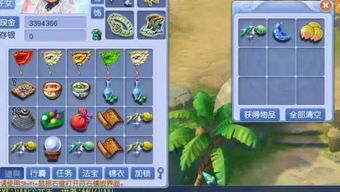 买菜攻略游戏昵称,趣味购物新体验