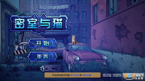 猫游戏密室,密室逃脱的智慧之旅