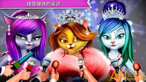 猫明星游戏,开启欢乐互动之旅