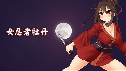 羞辱日本女忍者游戏,揭秘羞辱日本女忍者游戏的争议与反思