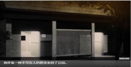 无人的公园狂野游戏,无人的公园狂野游戏深度解析