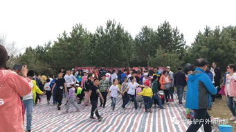 户外野餐游戏,探索萌宠小镇户外野餐游戏的欢乐之旅
