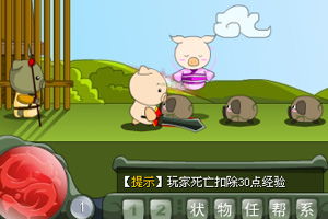 乖乖猪小游戏,深入乖乖猪游戏世界