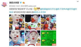 yy吐篮球的游戏,趣味无限