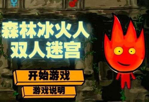 森林冰火人的游戏,解谜闯关的奇幻之旅