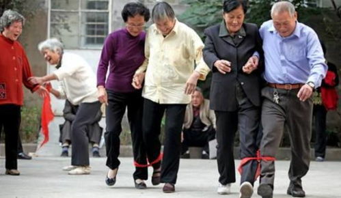 会销经典游戏,经典互动游戏助力销售新篇章