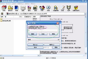 为什么下载游戏要密码,揭秘游戏下载背后的安全防线