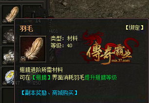 贪玩游戏传奇羽毛78,贪玩世界中的传奇之旅