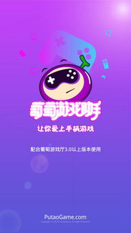 葡萄游戏助手配对不了,探索解决之道