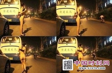 种子猫 种子猫