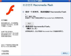 flash插件下载手机版 flash插件下载手机版