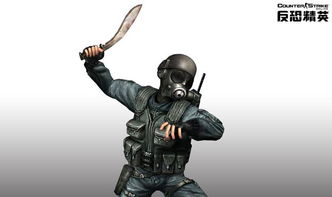 csol单机版 csol单机版