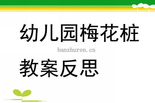 梅花桩游戏教案,寓教于乐的传统文化体验之旅