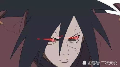 生肖万花筒 
