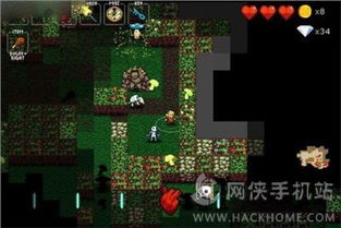苹果地牢游戏,苹果iOS平台地牢游戏精选回顾