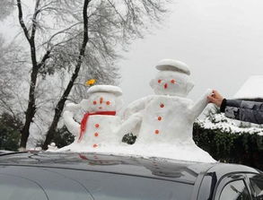 雪人影视 雪人影视