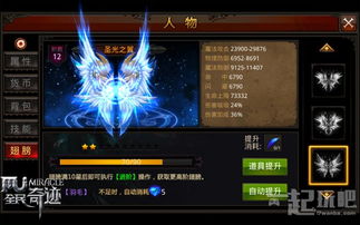 圣光之誓(ValiantForce) 圣光之誓(ValiantForce)