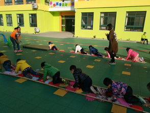 幼儿园小小班户外游戏,活力无限