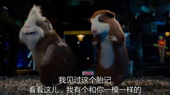 老鼠特工 老鼠特工