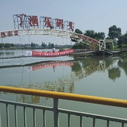 渔乐码头游戏,竞拍策略与渔获争夺的冒险之旅