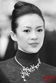 章子怡 高官