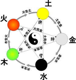 五行降妖师梦幻情缘 