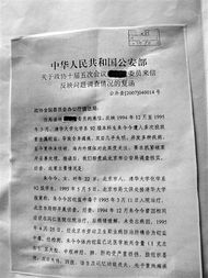 美国警车驾驶追逐 美国警车驾驶追逐