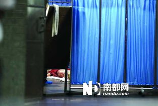 金牌护士护士端 