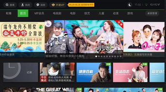 大视界tv免密码安卓版下载 