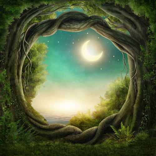 魔幻森林 