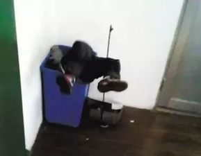 颜艳红虐童
