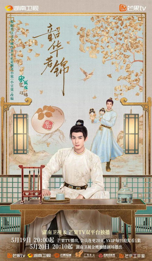 韶华锦