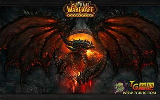 魔兽世界手机英雄榜手机版 魔兽世界手机英雄榜手机版