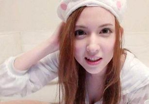 种子猫 种子猫