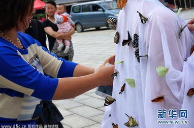 蝴蝶视频官方版下载安装 