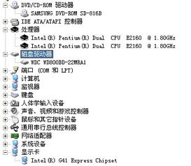 自制激活码生成器 